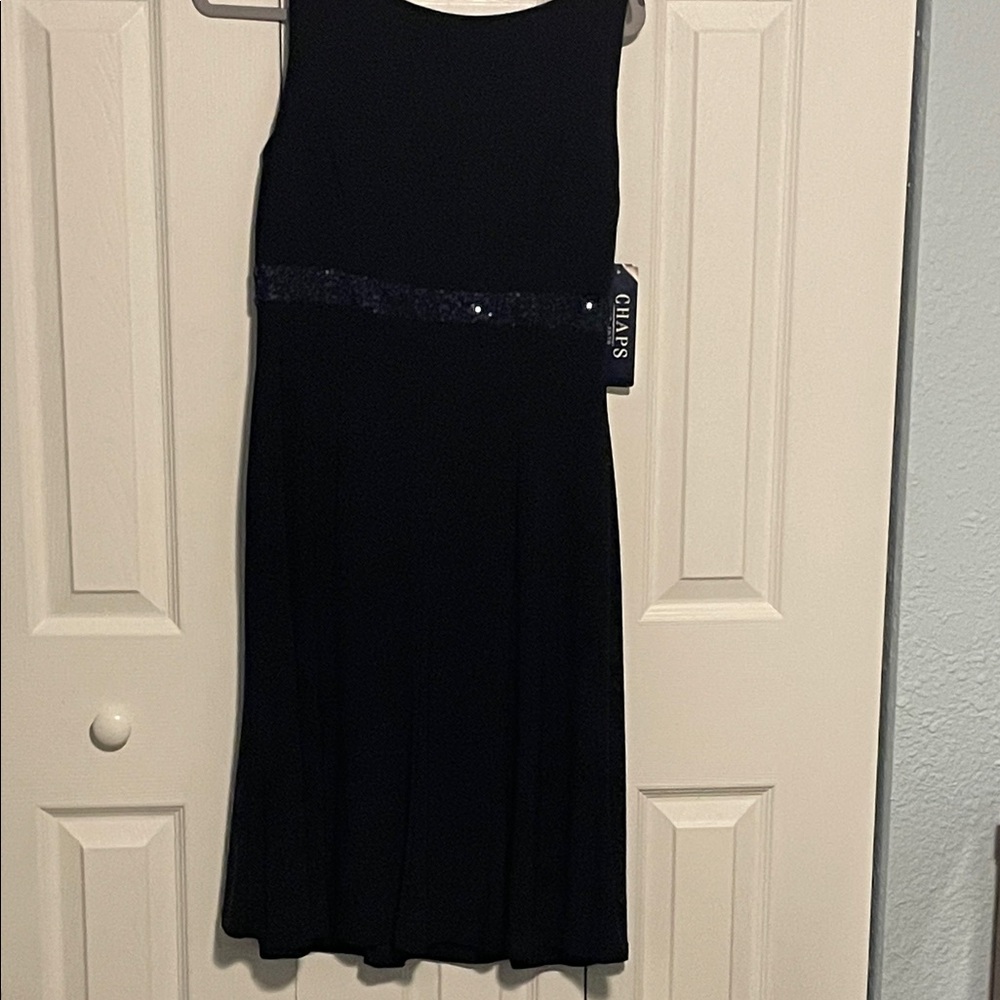 Chaus Navy Sleeveless Dress with Sequin Detail